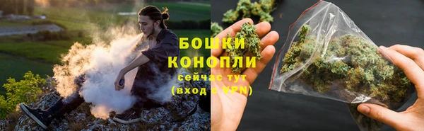 индика Усмань