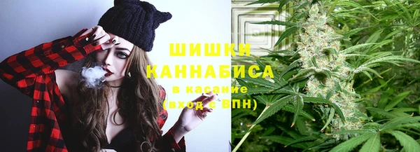 индика Усмань